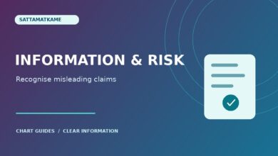 Satta King Information: Recognising Risk and Misleading Claims — article illustration