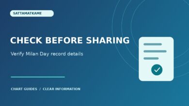 Milan Day Records: How to Check an Entry Before Sharing It — article illustration