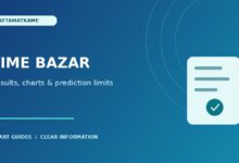 Time Bazar Guessing: Results, Charts and Prediction Limits — article illustration